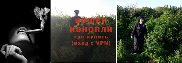 сатива Заволжск