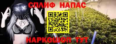 ешки Новозыбков