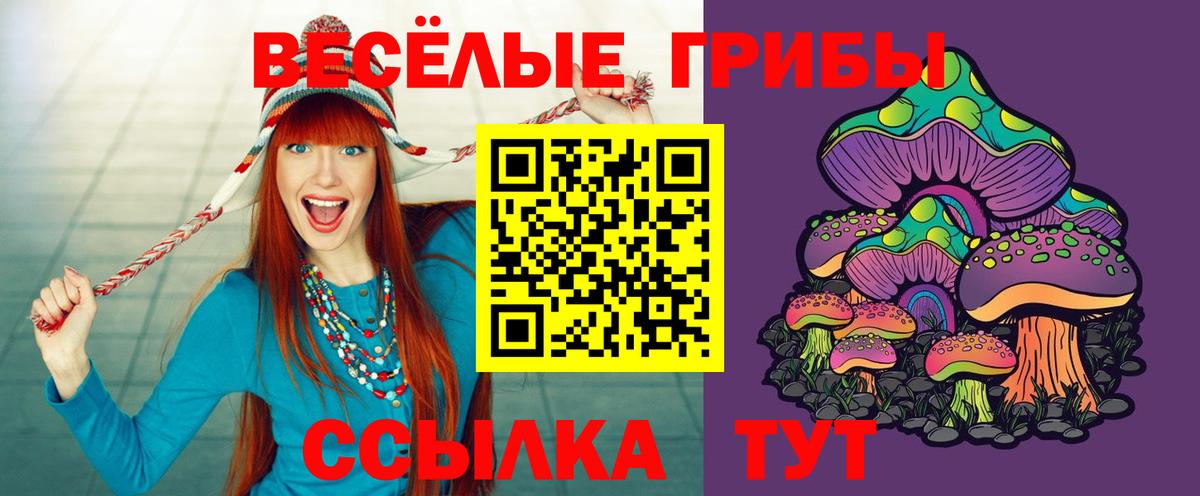 Галлюциногенные грибы мухоморы  Галлюциногенные грибы прущие грибы  хочу наркоту  Сланцы  Вход с VPN 